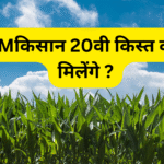 PM किसान 20वीं किस्त कब मिलेगी? – खेत की पृष्ठभूमि में जानकारी