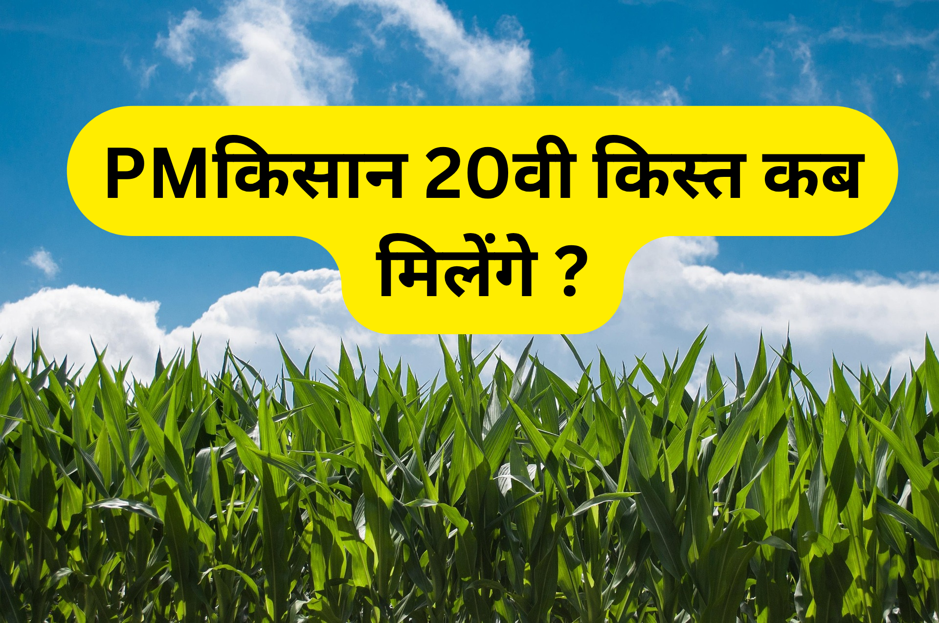 PM किसान 20वीं किस्त कब मिलेगी? – खेत की पृष्ठभूमि में जानकारी