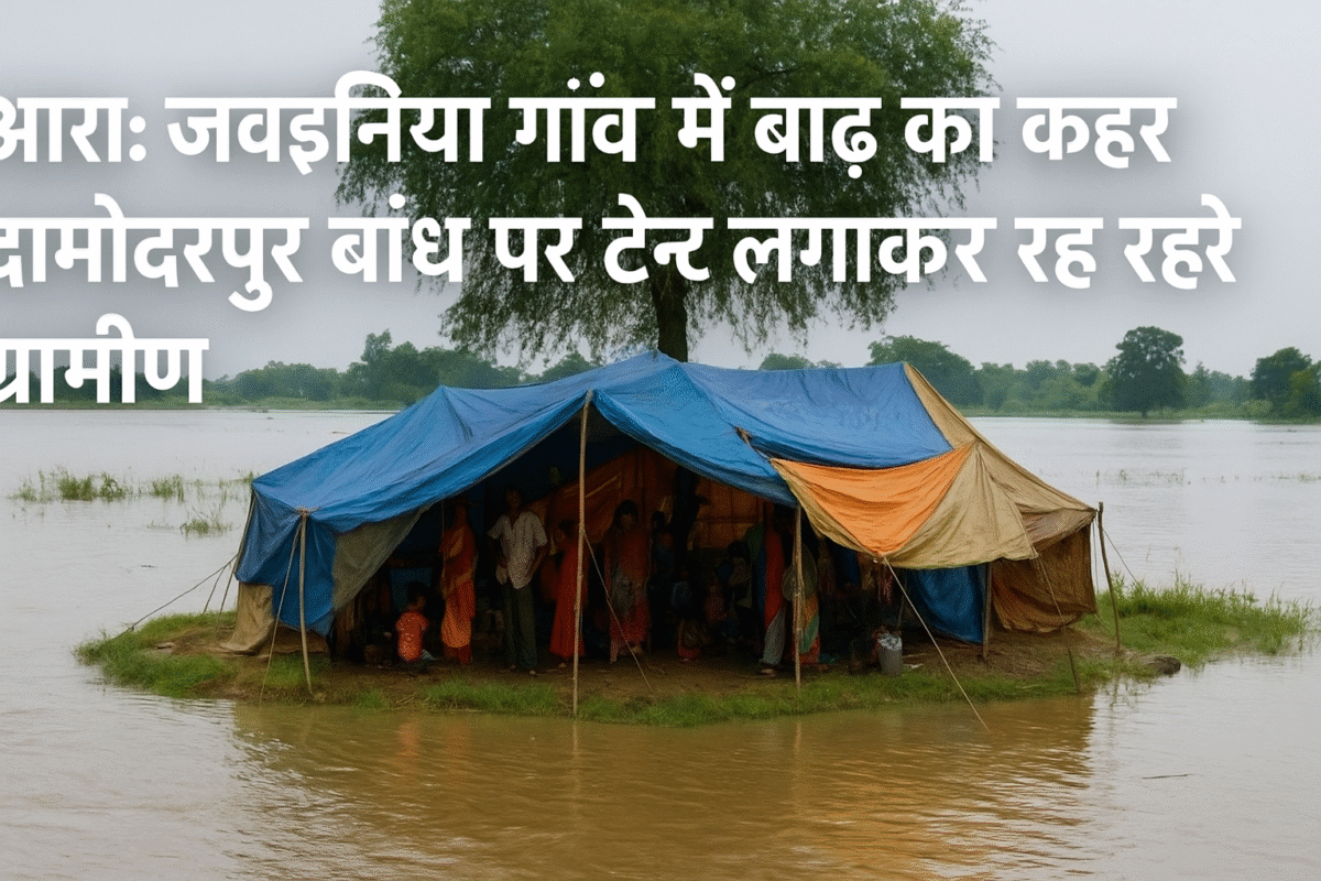 Arrah Flood News: जवइनिया गाँव में बाढ़ से तबाही, दामोदरपुर बांध पर शरण लिए ग्रामीण