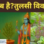 Tulsi Vivah Keb Hai 2025