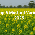 Top 5 Mustard Varieties 2025