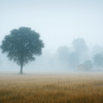 Bihar Weather 12 to 20 December